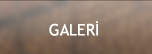 Galeri
